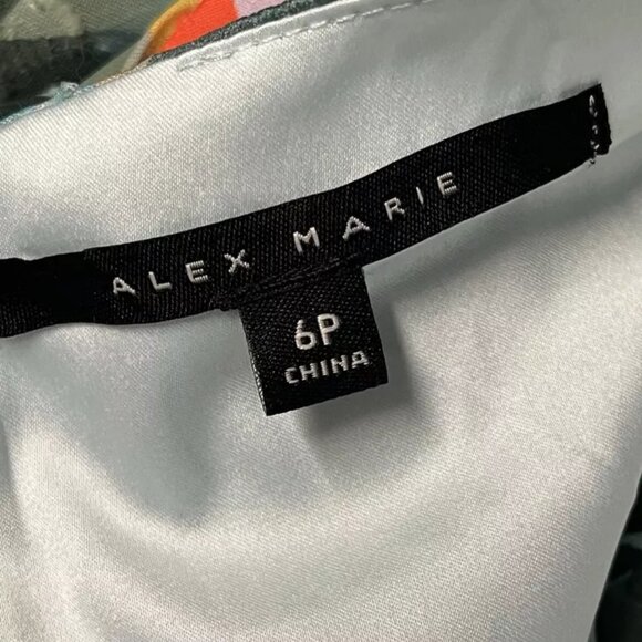 Alex Marie Ruffle Dress 6P Petites Floral Sheer Chiffon V-Neck Puff Sleeve Tier - Picture 11 of 12